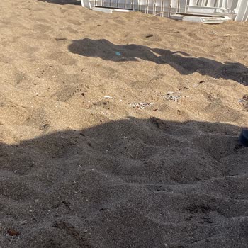 Milli Emlak Müdürlüğü Sahilin Temizlenmesini İstiyoruz