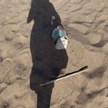 Milli Emlak Müdürlüğü Sahilin Temizlenmesini İstiyoruz