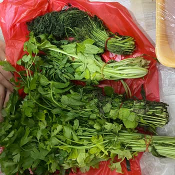 Şok Marketler Kötü Ve Tarihi Geçmiş Ürünler