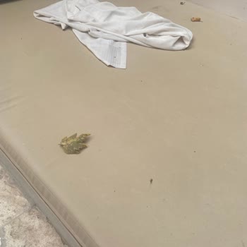 Sabel Villas Hayal Kırıklığı Ve Kötü Hizmet Deneyimi