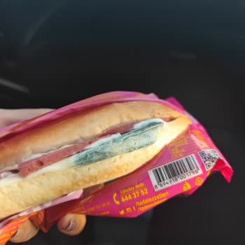 Taze Olmayan Ürün: BİM'den Aldığımız Sandviç Küflü Çıktı!