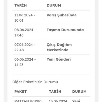 Evdemo Lojistik Dağıtım Şirketi Kargomu Zamanında Getirmedi.