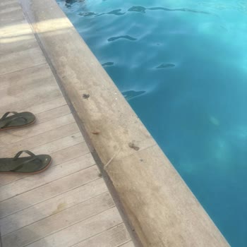 Jolly Tur Un Sattığı Jura Otel Çok Kotu