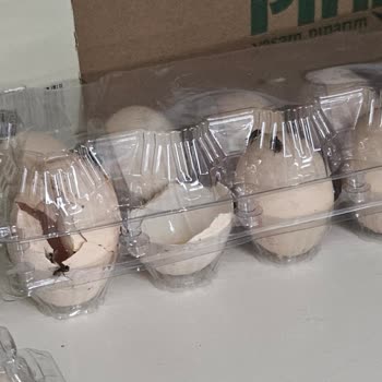 A101 Bozuk Yumurtalar Ve Peynirler