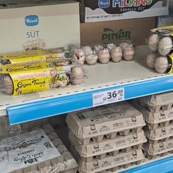 A101 Bozuk Yumurtalar Ve Peynirler