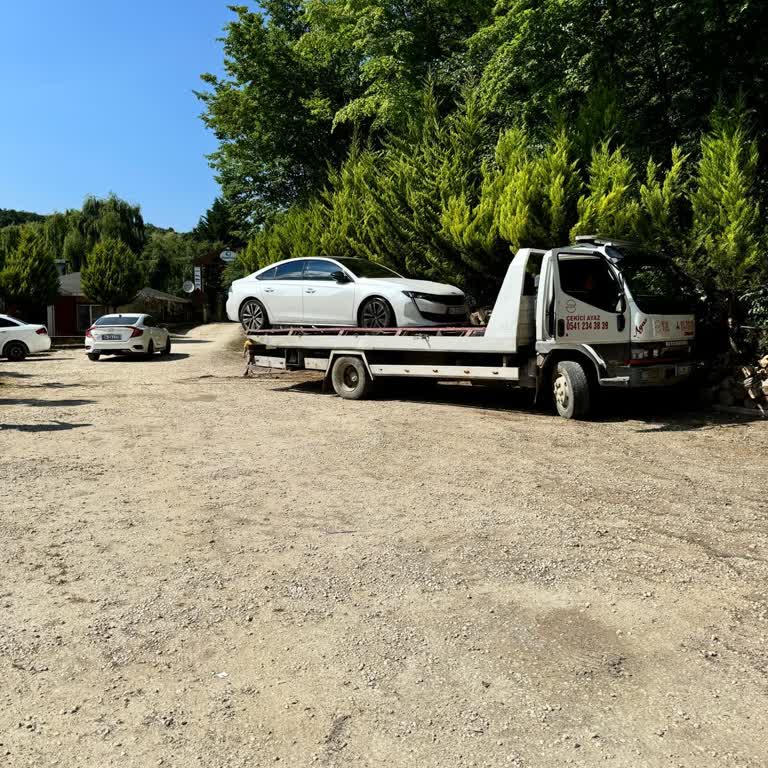 Peugeot Ve Psı Grubu Pişmanlıktır!