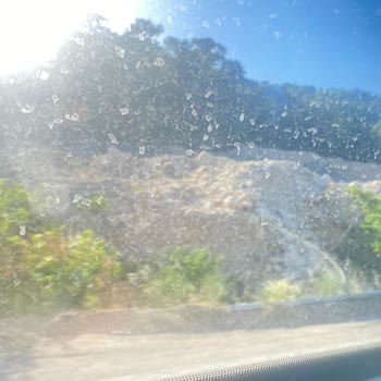 Ali Osman Ulusoy Otobüs Yolculuğu Ve Müşteri Hizmetleri Sorunları