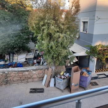 Çeşme Belediyesi Çeşme Dalyan Çeyiz Dikimevi Yanındaki Çöpler Alınmalı