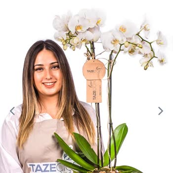 Taze Çiçek (tazecicek.com) Tazeçicek Kesinlikle Sektörü Bırakmalı
