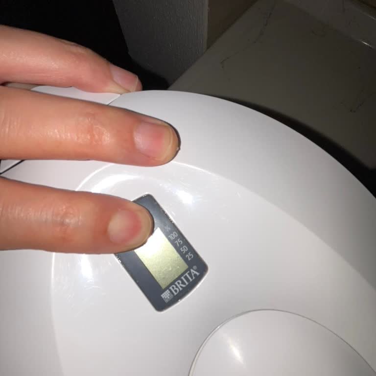 Brita XL Sürahi Gösterge Pili.