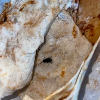 Trendyol GO Sr Döner Hijyen Problemi