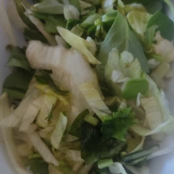 Bursa Şehir Hastanesi Yemek Ve Tepsilerdeki Hijyen Eksikliği Ve Çalışanların Tepkisi