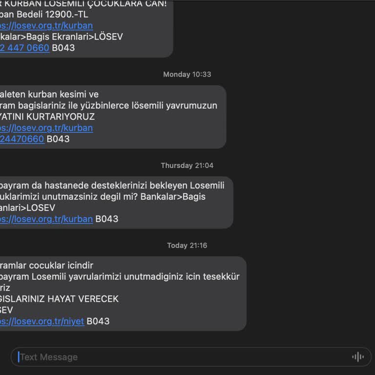 LÖSEV SMS Mesaj Spamlaması