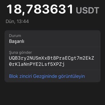 Binance Hesabıma Telegram Cüzdandan USDT Çekim Yaptım Gelmedi