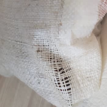 Petzz Shop Patlak Poşet İle Teslimat
