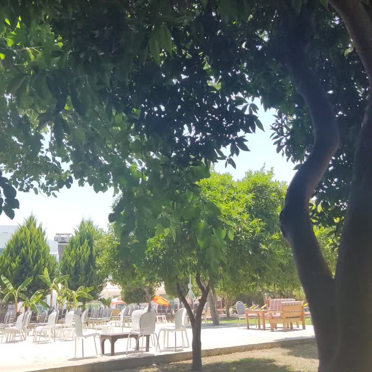 Omorfi Garden Resort Hotel Tarafından Oda Verilmedi Ve Geri Eve Döndük (550 Km)