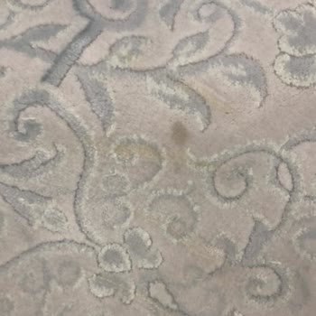 Kayseri Eslem Halı Yıkama: Halılarım Daha Kirli Geldi, Müşteri Memnuniyetsizliği!