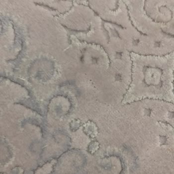 Kayseri Eslem Halı Yıkama: Halılarım Daha Kirli Geldi, Müşteri Memnuniyetsizliği!