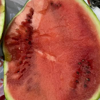 Migros Sanal Market Ürünlere Özen Göstermiyor