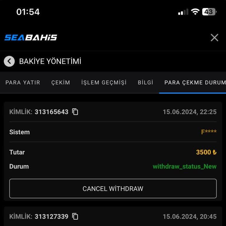 Seabahis Canlı Destek Sorunu