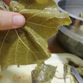 Koy_mahsulleri (Instagram) Koy Mahsulleri'nden Aldığım Salamura Yaprakların Kalitesi Hayal Kırıklığı Yarattı