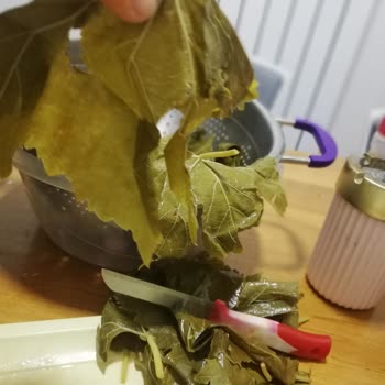Koy_mahsulleri (Instagram) Koy Mahsulleri'nden Aldığım Salamura Yaprakların Kalitesi Hayal Kırıklığı Yarattı