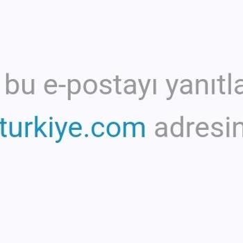 Boxhero'dan Aldığım 8li Paketin 4ü Ulaştı Destek İçin Ulaşamıyorum