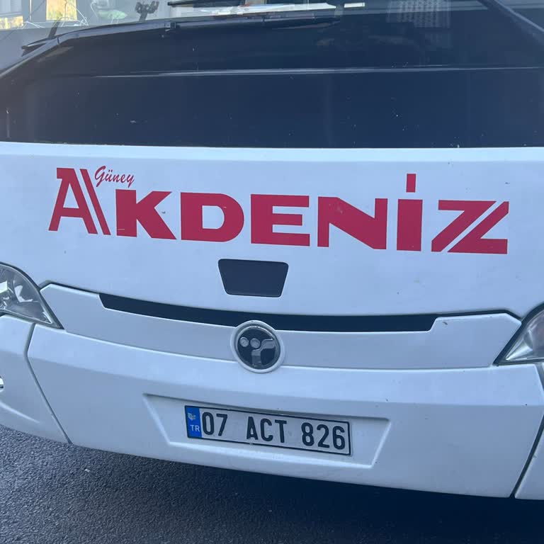Güney Akdeniz Seyahat Hayvan Düşmanı Otobüs Şirketi