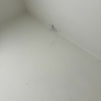 İstanbul Metroport AVM Bebek Emzirme Odası Temizlik Sorunu