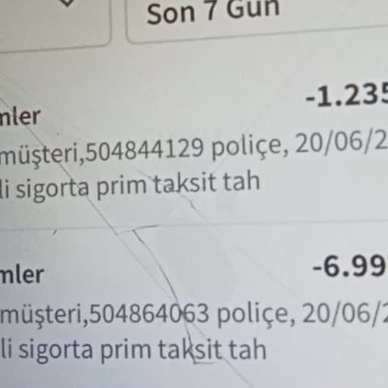 Halkbank'ın İzinsiz Para Çekmesi Hakkında