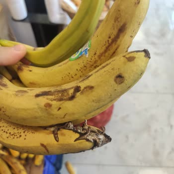 Akuğur AVM Kayapa Şubesi Manav Reyonu!