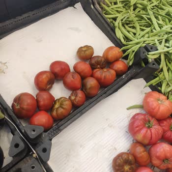 Akuğur AVM Kayapa Şubesi Manav Reyonu!