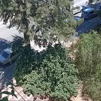 Buca Belediyesi Çöp Konteyneri Yanına Moloz Dökülmüş!