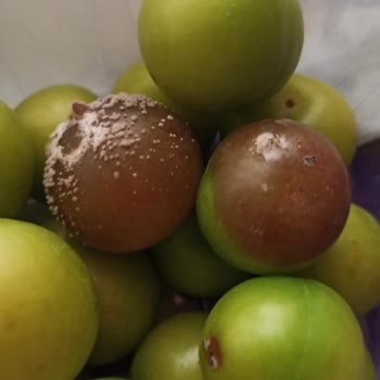 Getir'den Küflü Erik!