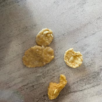 Ülker Başdaş Dan Aldığım Kellogg's Dan Bir Sür Kurt Çıktı.