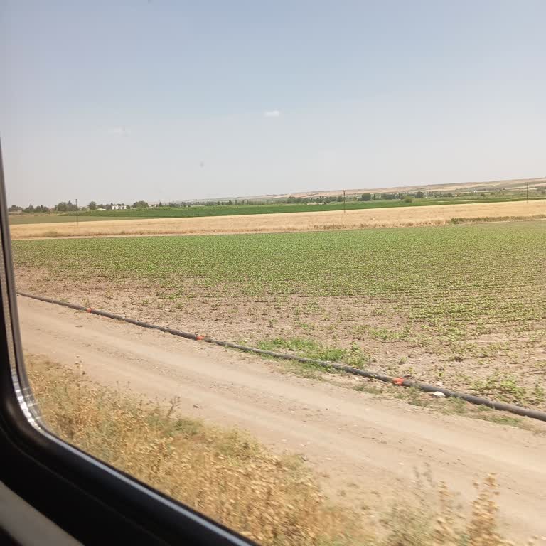 TCDD Bekletilme Ve Gecikme