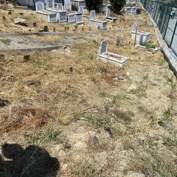 İBB - İstanbul Büyükşehir Belediyesi Bebek Mezarları Kayboluyor