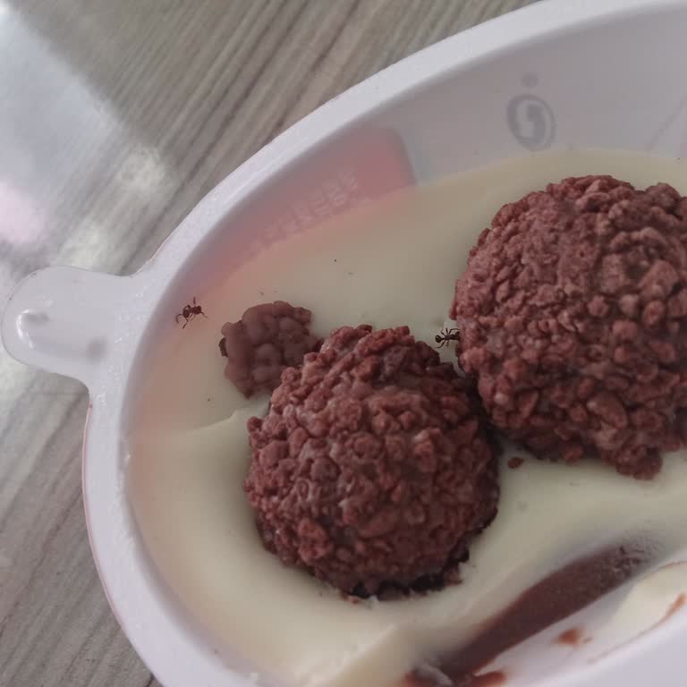 Kinder Joy'UN İçinden Örümcek Çıktı!