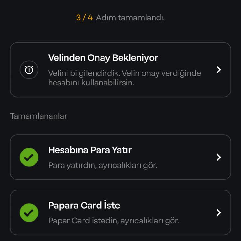 Papara Kimlik Bilgileri Sahibi İle Onaylamayı Yapan Kişi Aynı