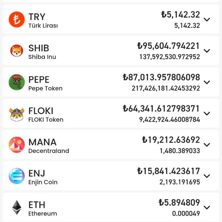 Bitay Coin De 6 Aydır Bitmeyen Sorun Ne Olabilir