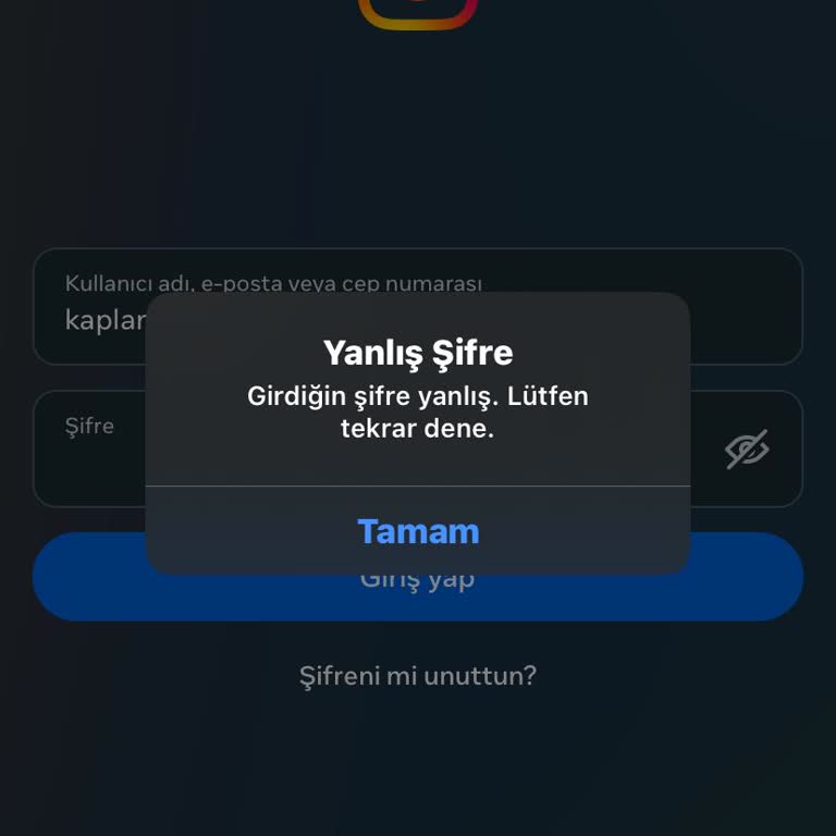 Instagram'a Giremiyorum