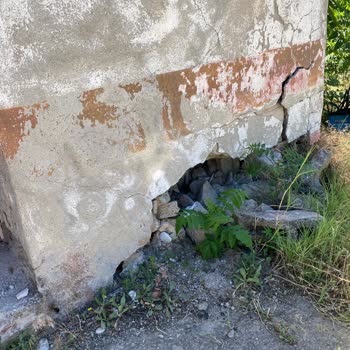 Petrol Ofisi Markasının Denetim Eksikliği