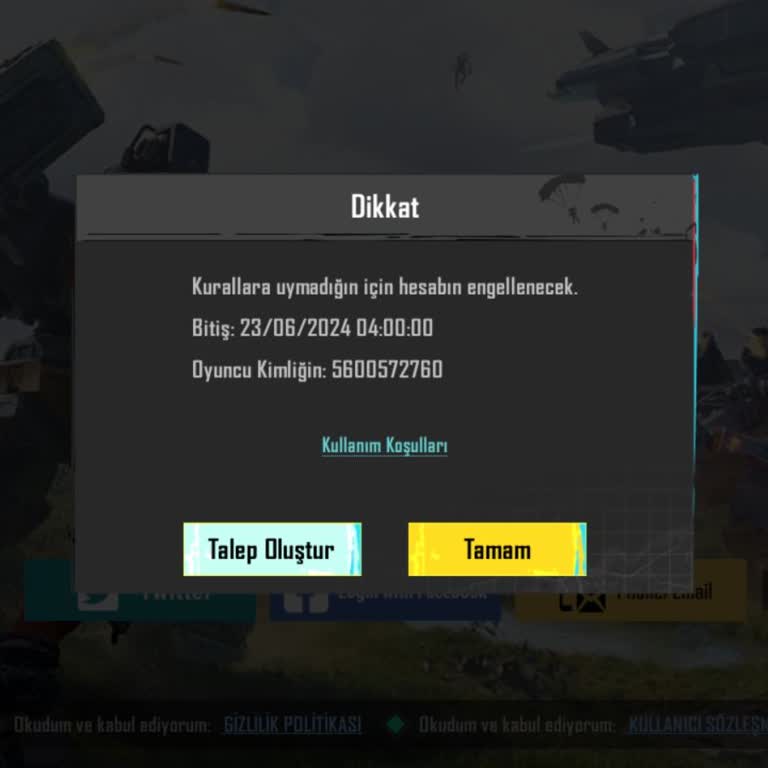 PUBG (Pubgmobile.com) Satın Aldığım Ürün Nedeniyle Haksız Ceza Aldım!