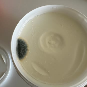 Sütaş Bak Bu Gross'tan Aldığım Yoğurt Küflü Çıktı: 102 TL'lik Hayal Kırıklığı