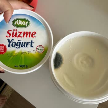 Sütaş Bak Bu Gross'tan Aldığım Yoğurt Küflü Çıktı: 102 TL'lik Hayal Kırıklığı