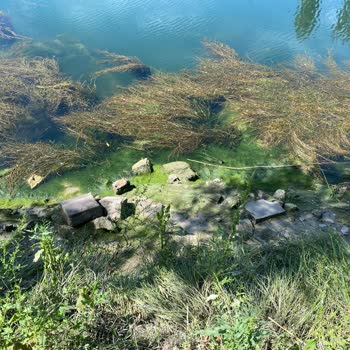 Avanos Belediyesi Ürgüp Sarıhıdır Baraj Kenarı Ücret Alıp Temizlikten Yoksunluğu