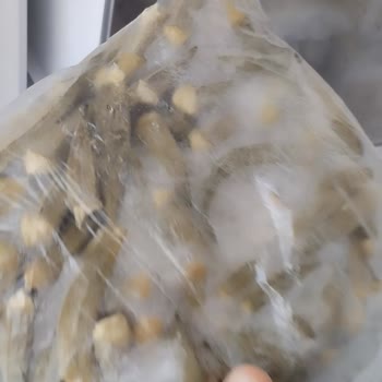 Arçelik Bozulan Derin Dondurucu Sonrası Yaşanılan Mağduriyet