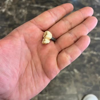 Vera Hastanesi Kartal Özel Vera Hastane