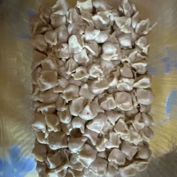 Uğur Soğutma Derin Dondurucu Arızası: Binlerce Liralık Zarar Ve İlgisizlik