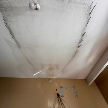 Baymak Yüzünden Evimi Su Bastı Ve Mağduriyetimi Gidermiyorlar!